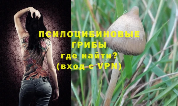 МДМА Алексеевка