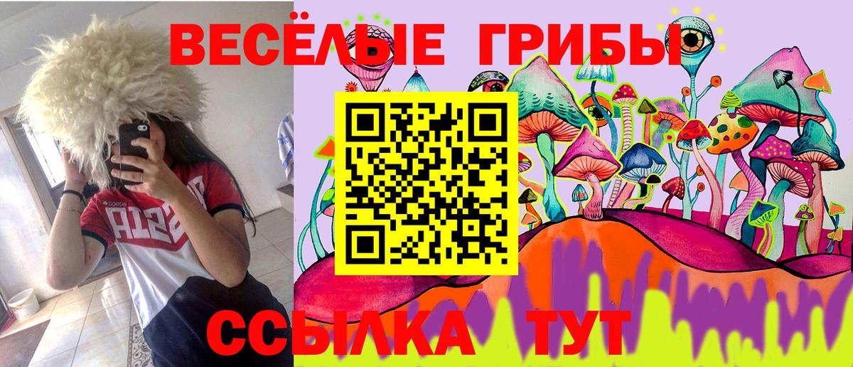 Скопин  Псилоцибиновые грибы мухоморы  Вход с VPN 