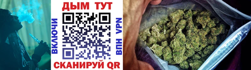 дарк нет Telegram  Скопин  Бошки Шишки индика 